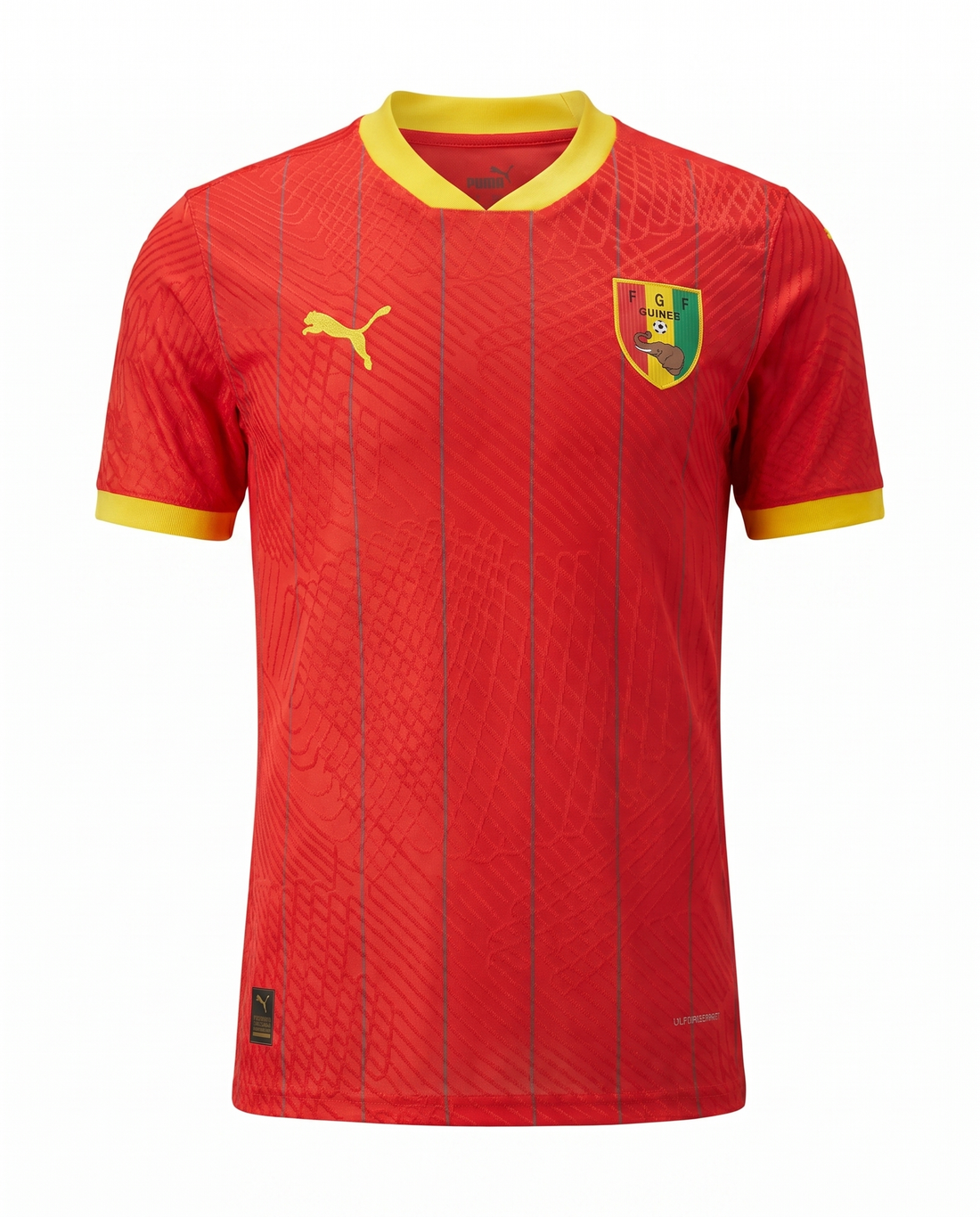 Maillot Fédération Guinéenne de Football 23/24 Domicile Joueur