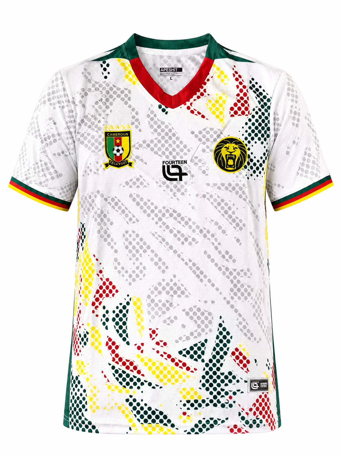 Maillot Cameroun 26/27 Exterieur