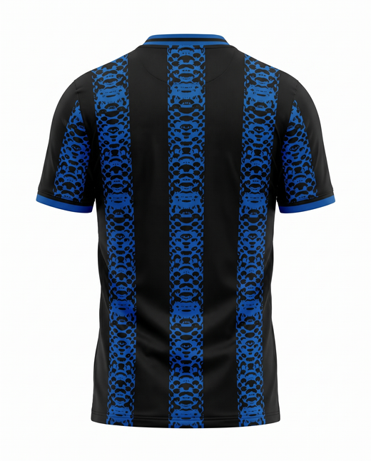 Inter Milan Concept